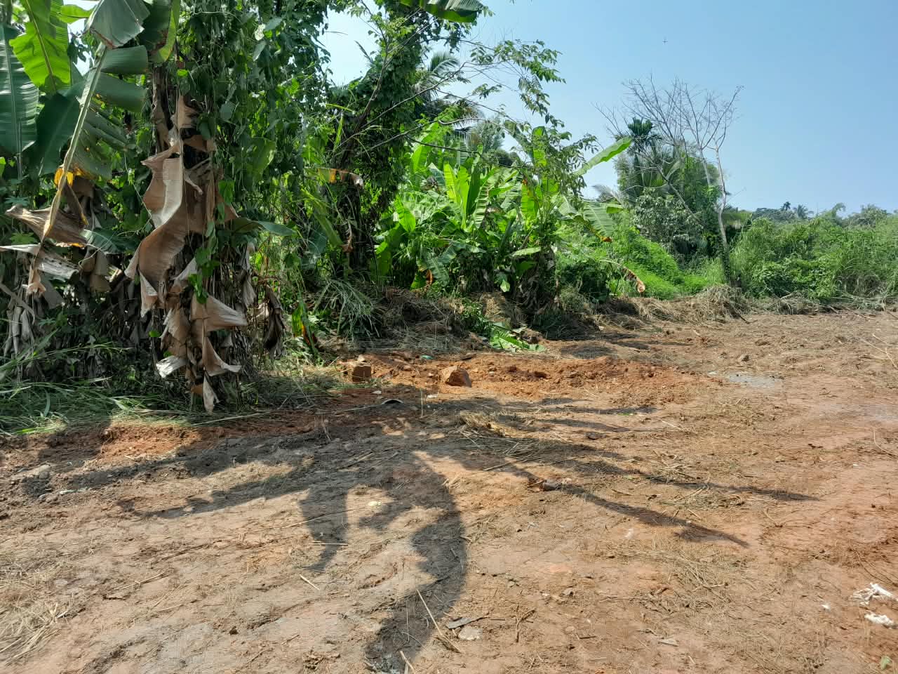 Plot in Thalassery, എരഞ്ഞോളി — photo 4
