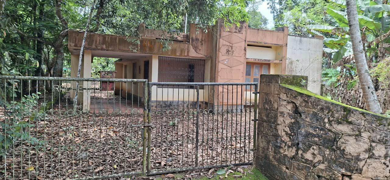 Plot in Pandalam, Pathanamthitta — photo 2