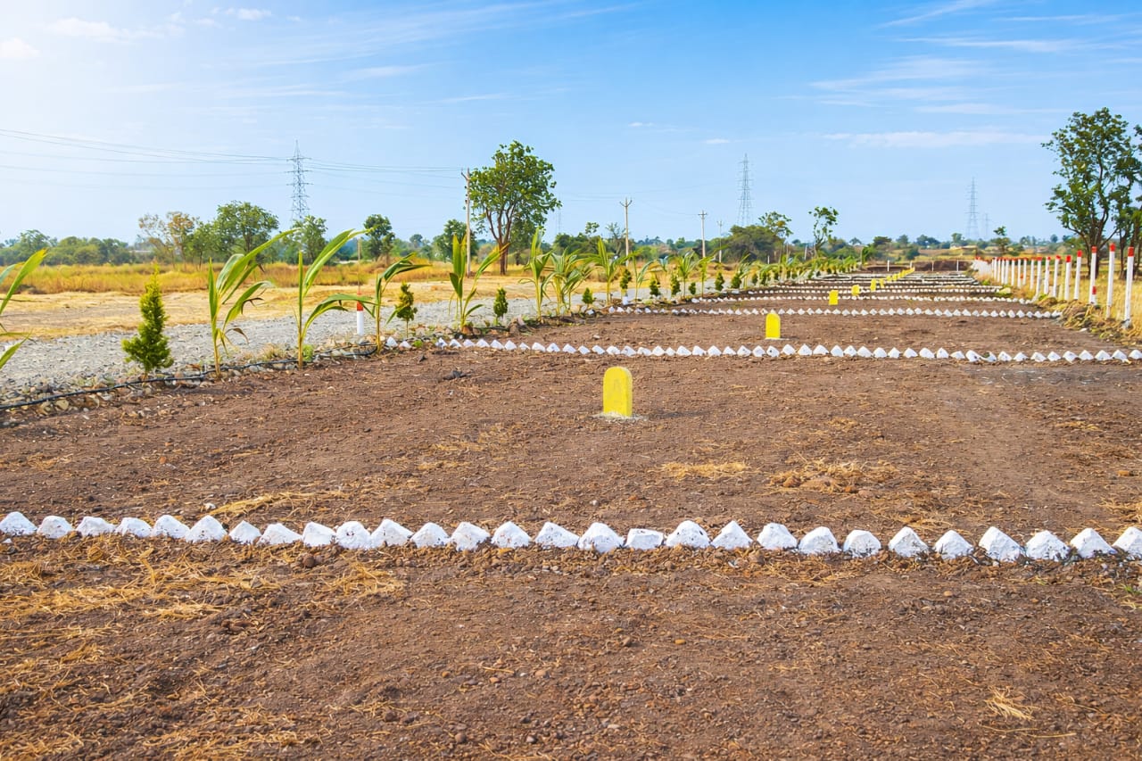 Plot In Saswad — photo 5