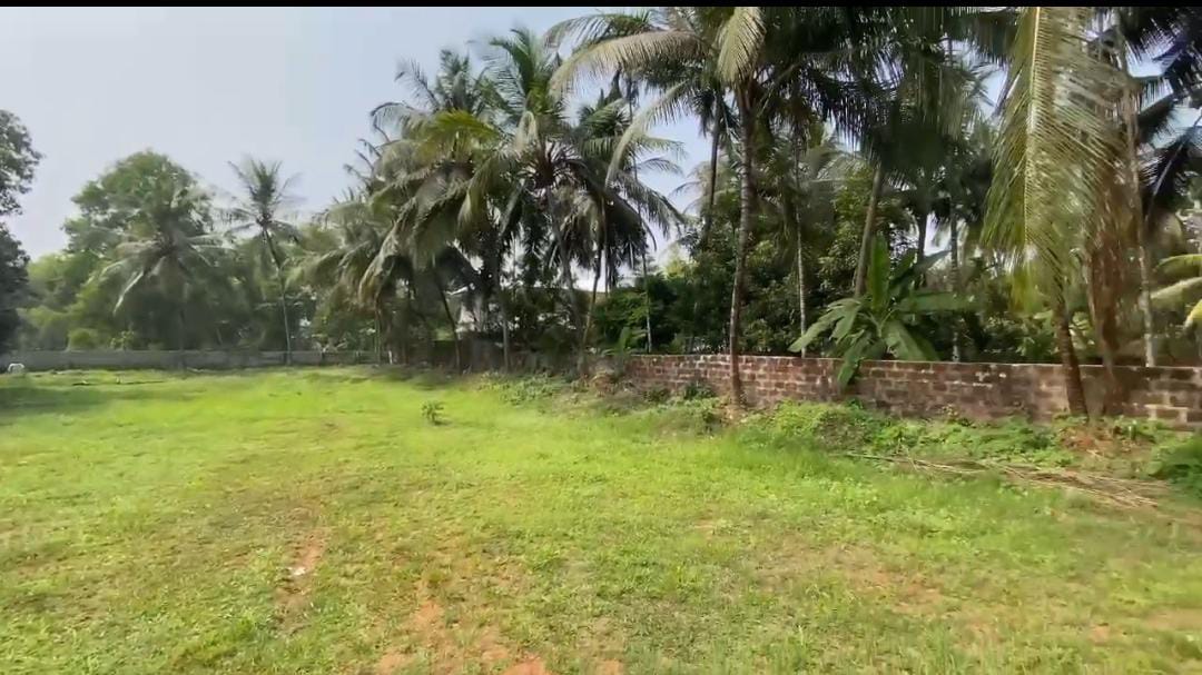 Plot in Kozhikode town — photo 2