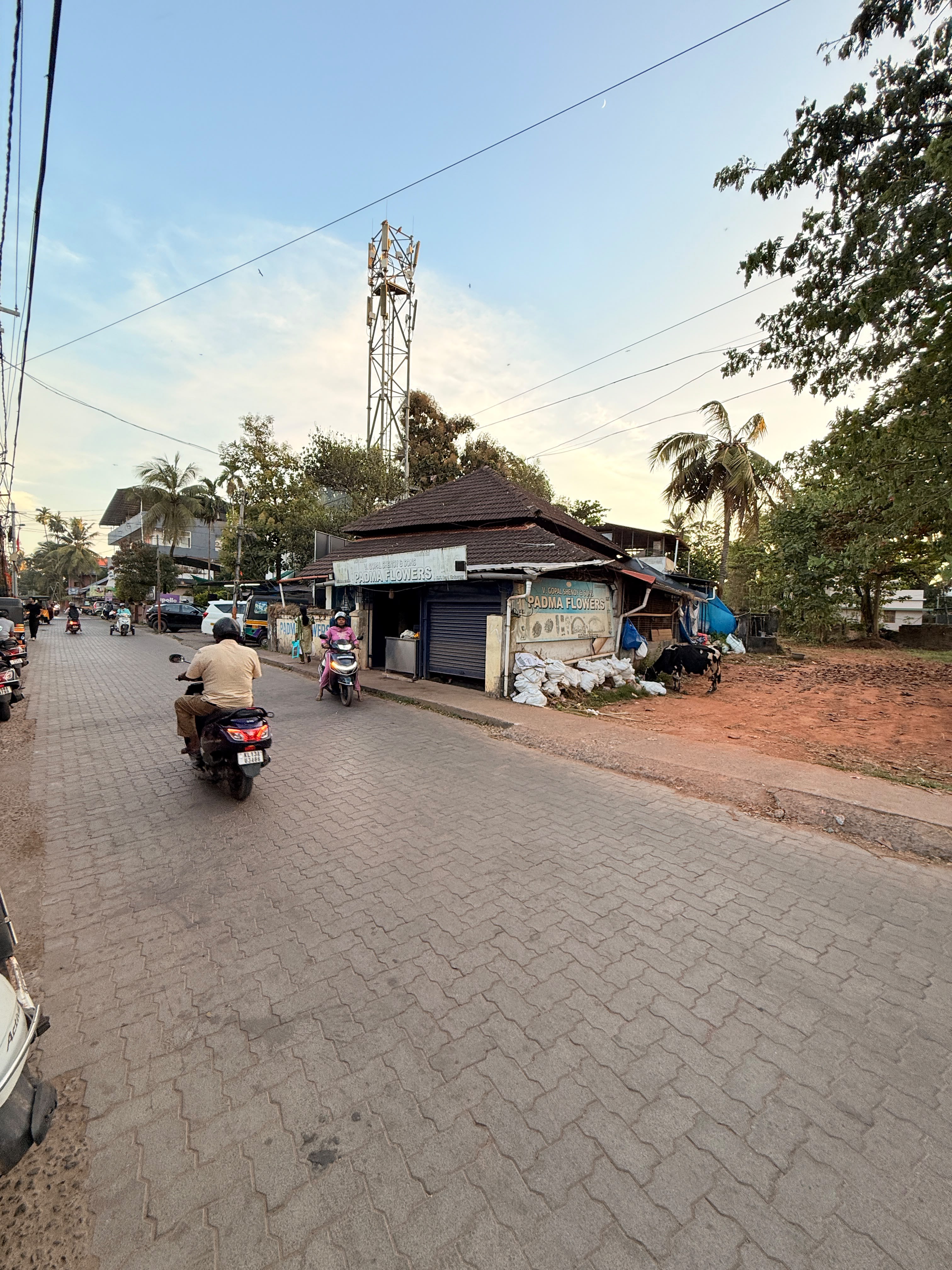 Plot In Thalassery Town, Kannur — photo 4
