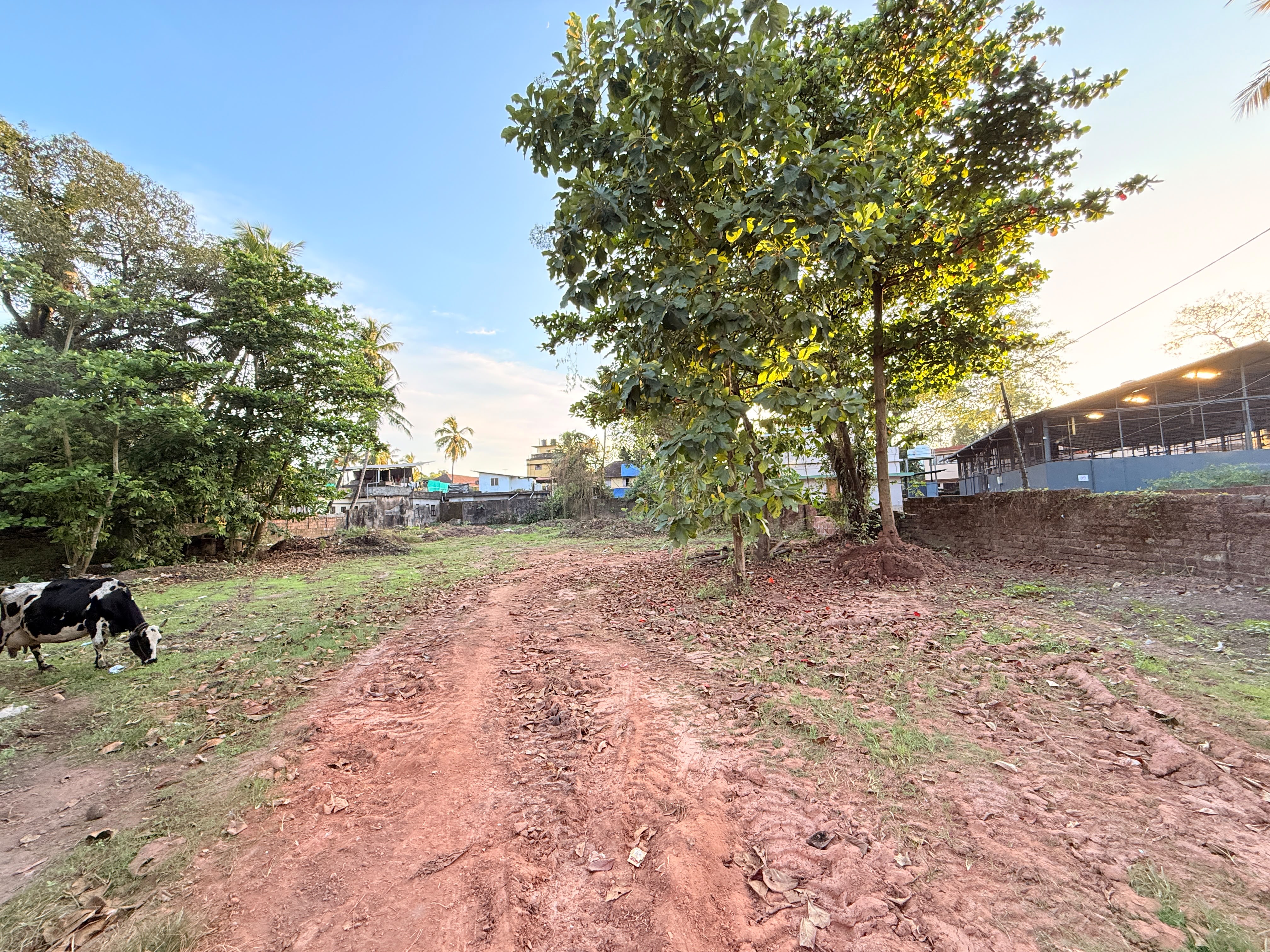 Plot In Thalassery Town, Kannur — photo 8