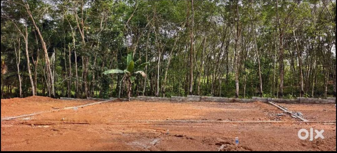 Plot in Anthiyoorkonam, Thiruvananthapuram — photo 1