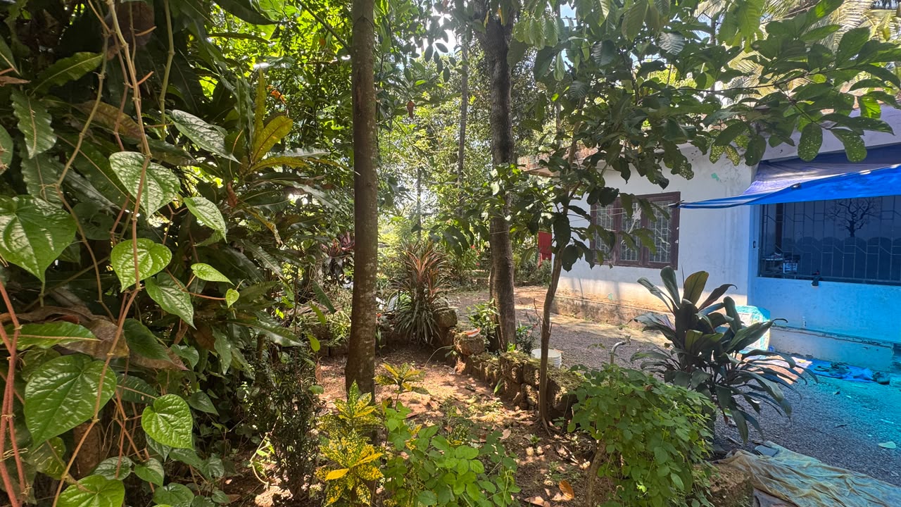 House in Mattannur — photo 6