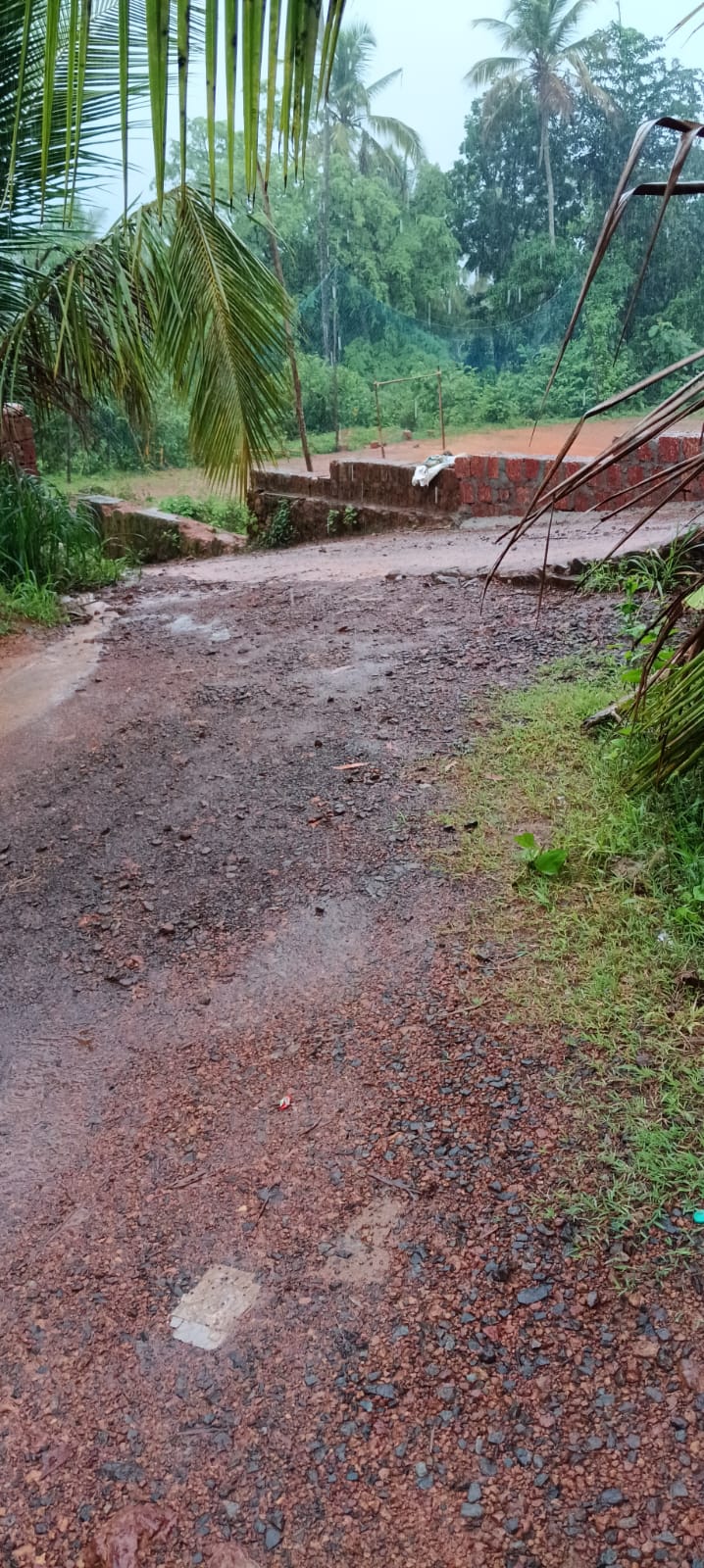 Plot in Kaitheri Kuthuparamba — photo 14