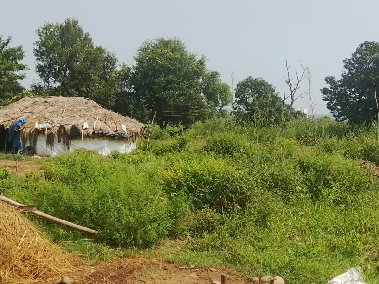 Plot in Jammu — photo 2