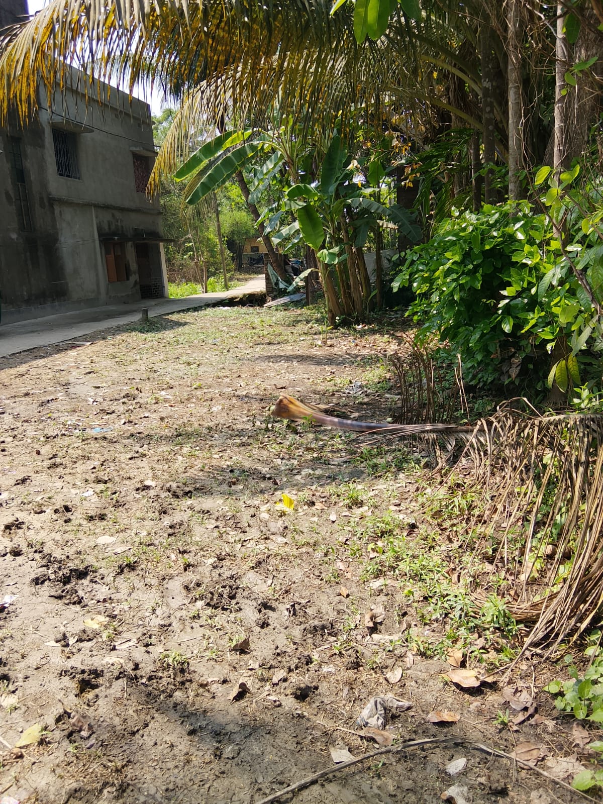 Plot in Bibirhat — photo 1