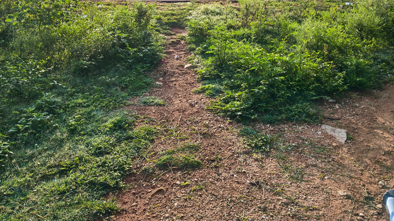 Agricultural Land in Bilijagali mole — photo 1