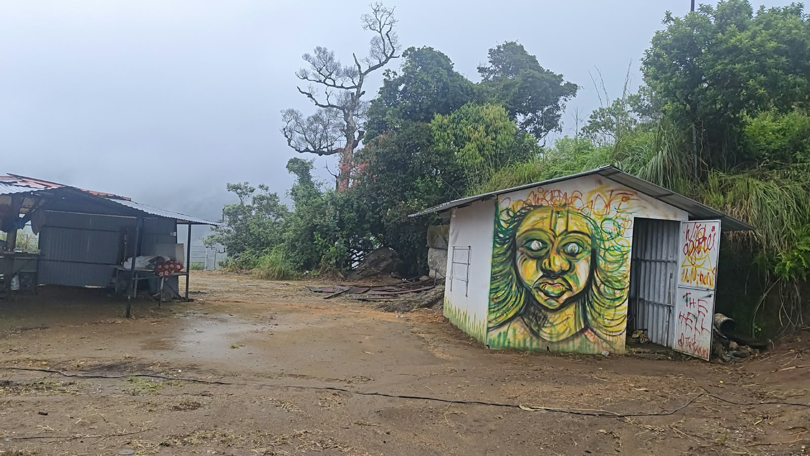 Plot at Pottankad, Munnar — photo 3
