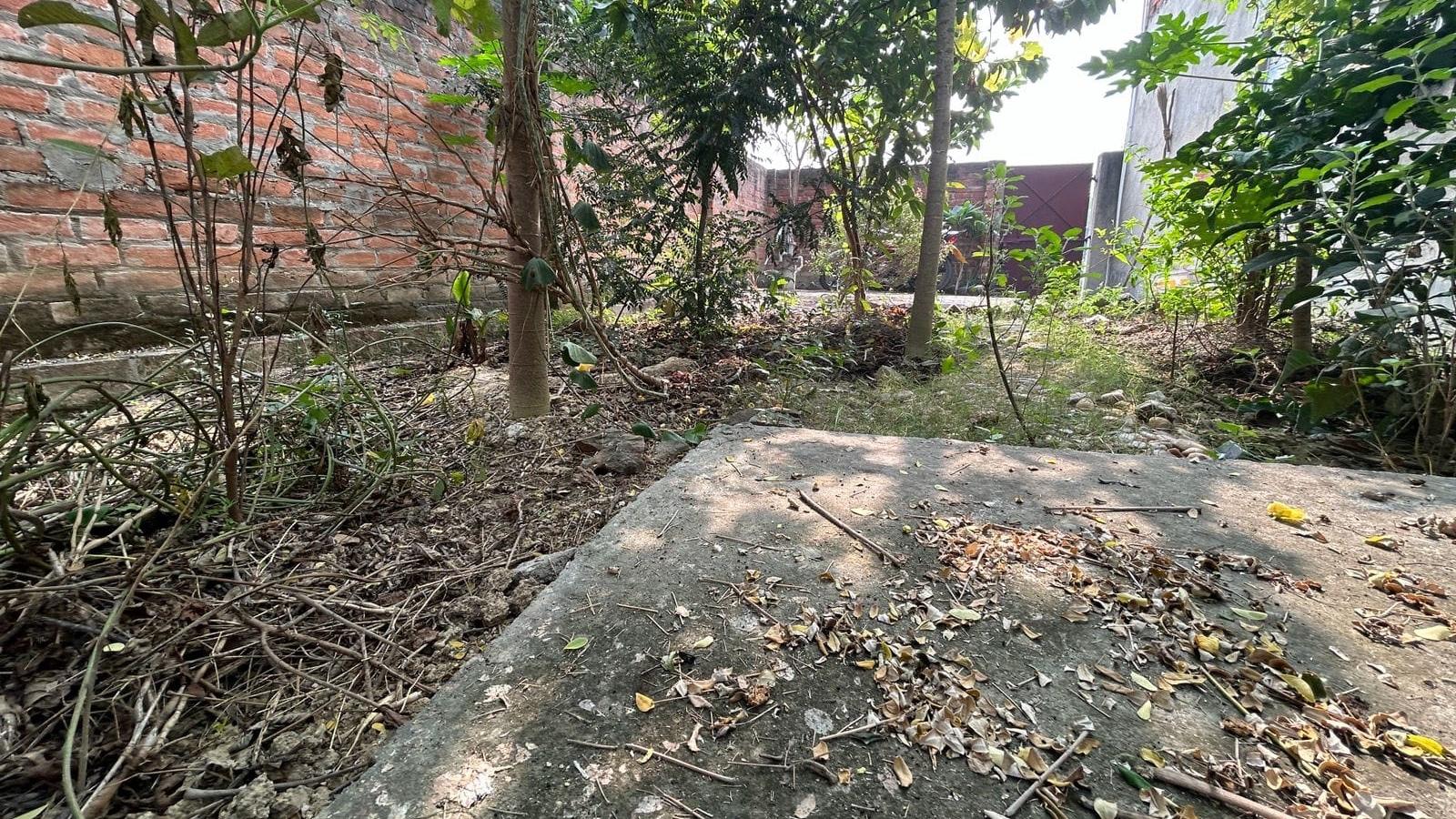 Plot in Sutwalpur — photo 7