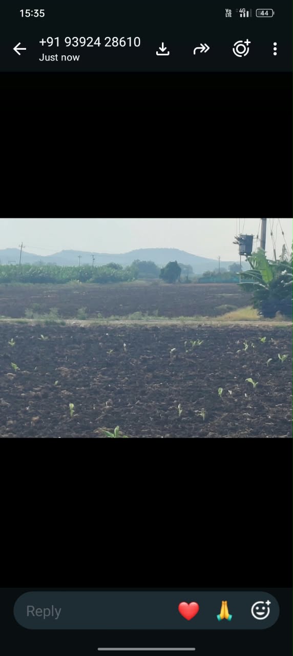 Plot in Suryapalli village, Putlur mandal, Anantapur district — photo 1