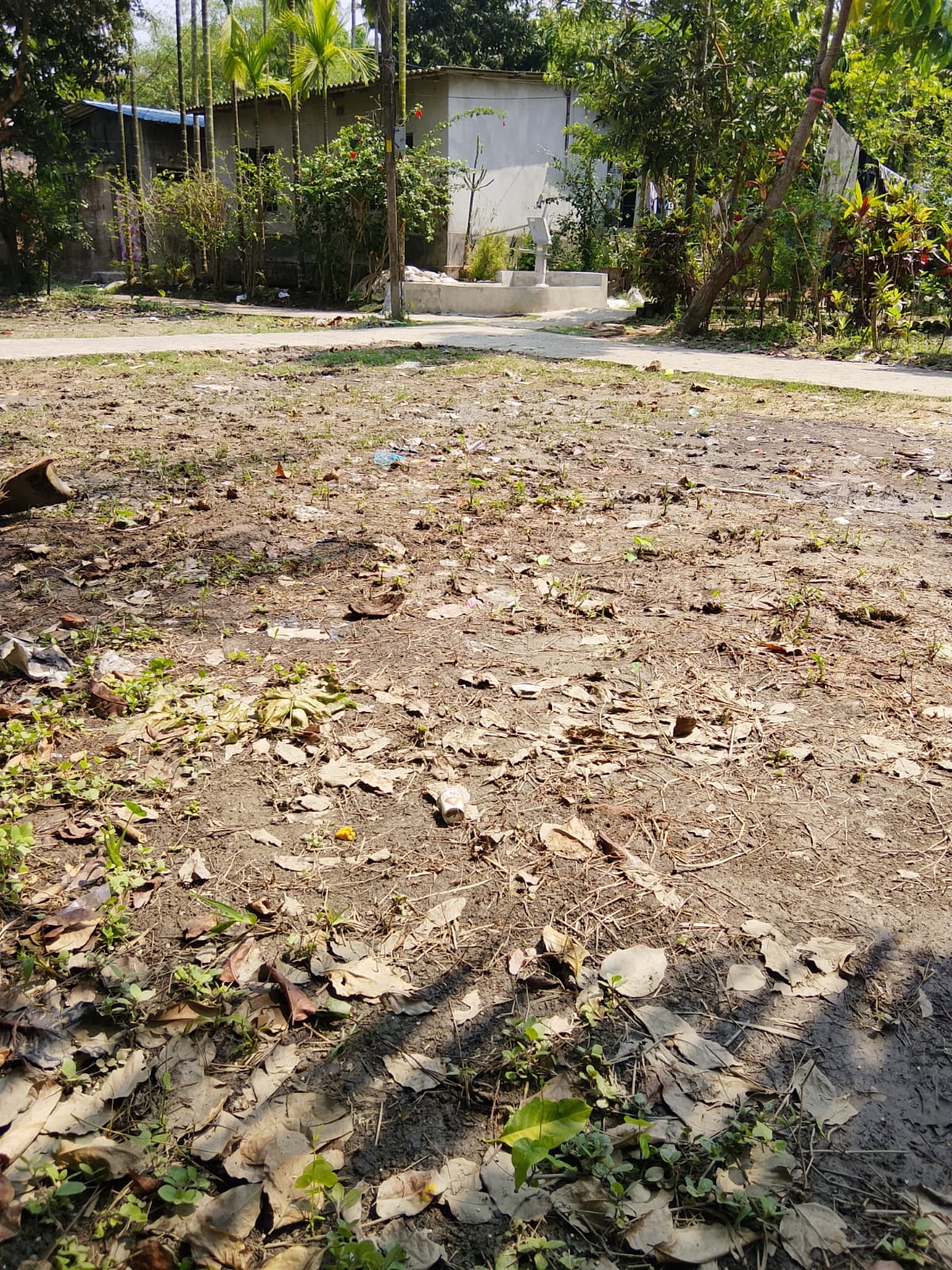 Plot in Bibirhat — photo 6