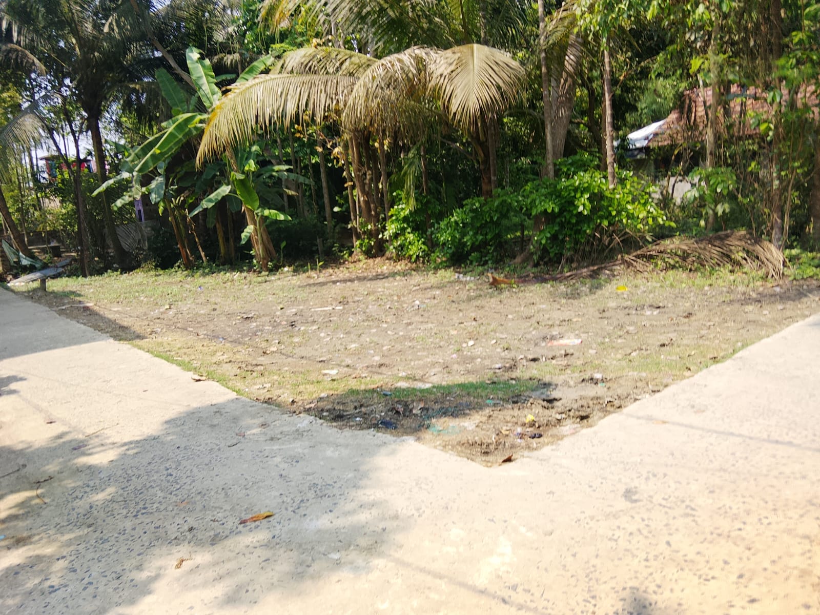 Plot in Bibirhat — photo 2