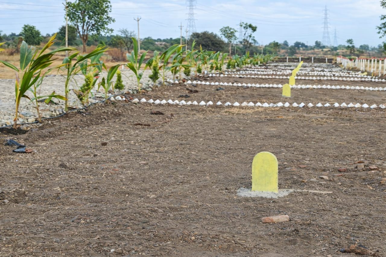 Plot In Saswad — photo 4