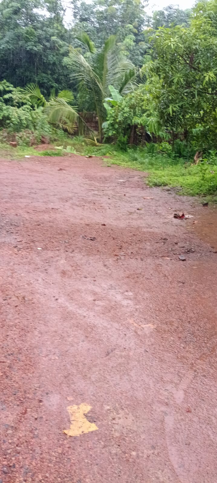 Plot in Kaitheri Kuthuparamba — photo 11