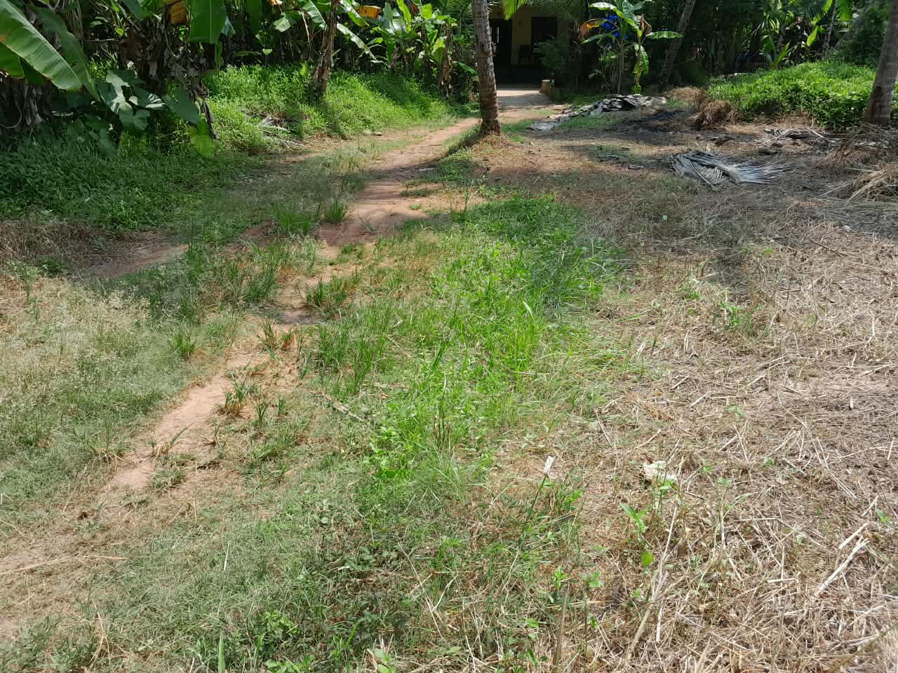 Plot in Thalassery, എരഞ്ഞോളി — photo 3