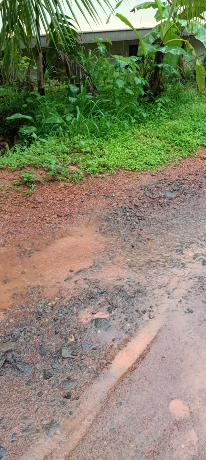 Plot in Kaitheri Kuthuparamba — photo 16