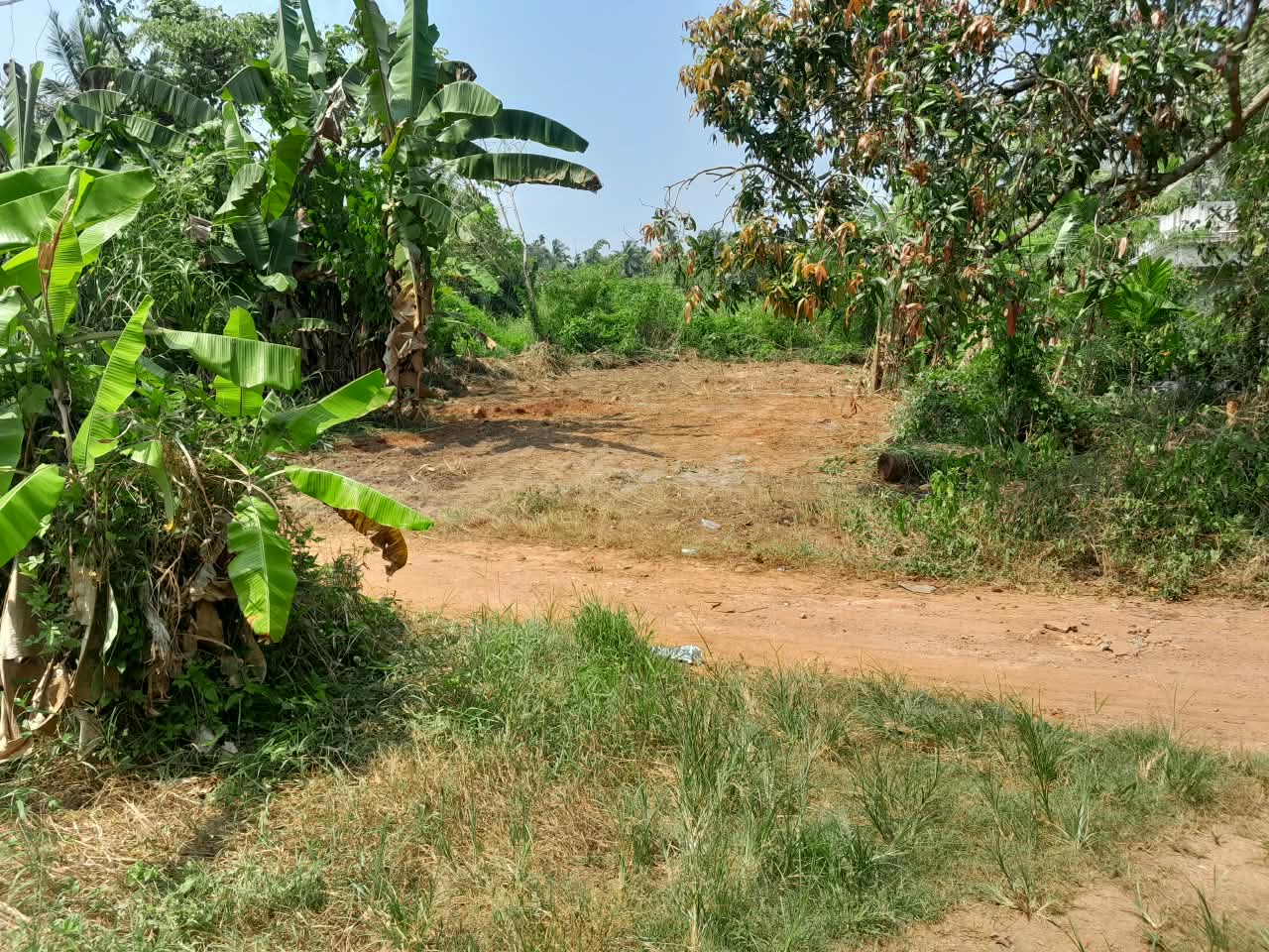 Plot in Thalassery, എരഞ്ഞോളി — photo 2