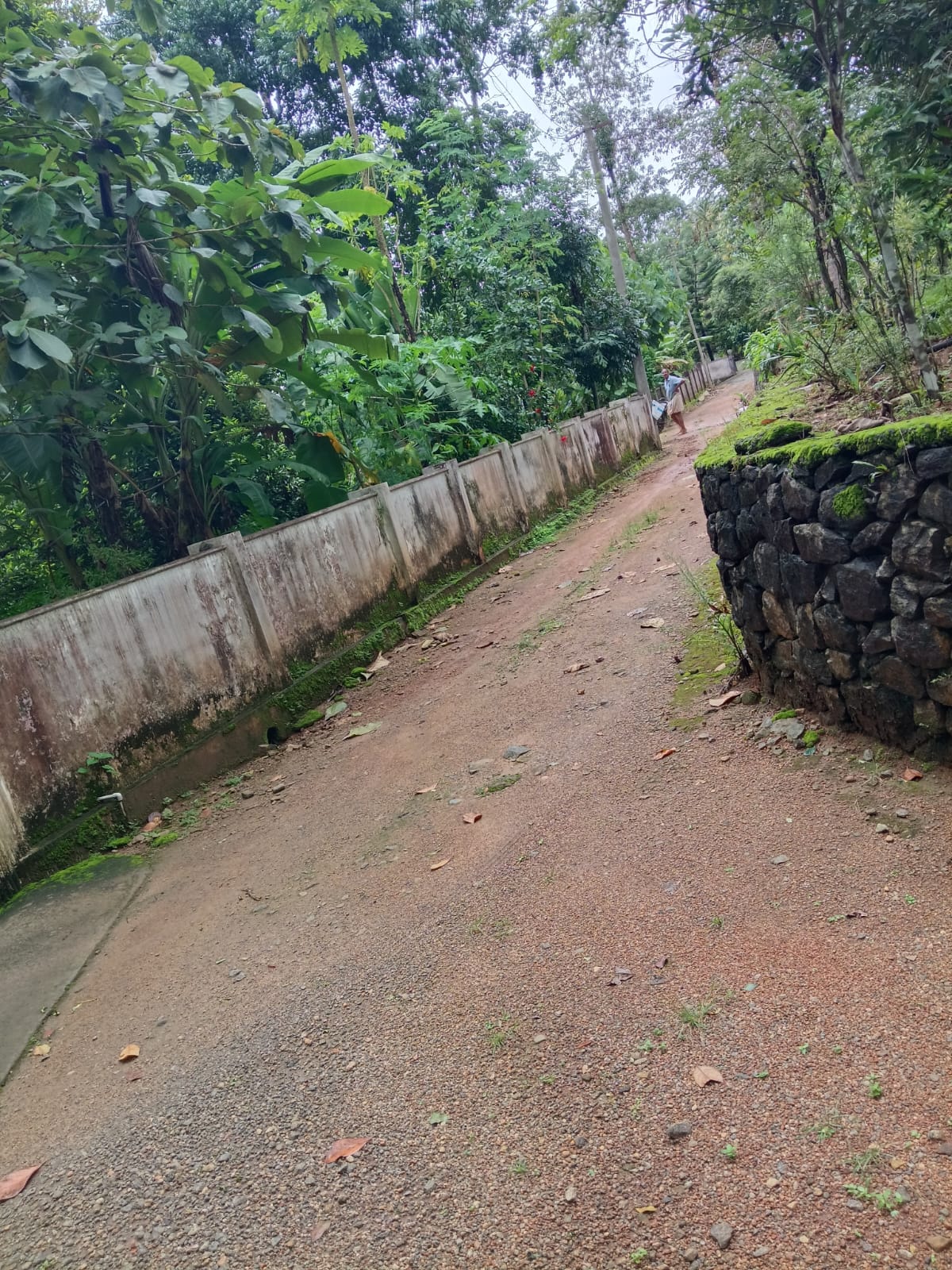 Plot in Ernakulam — photo 1