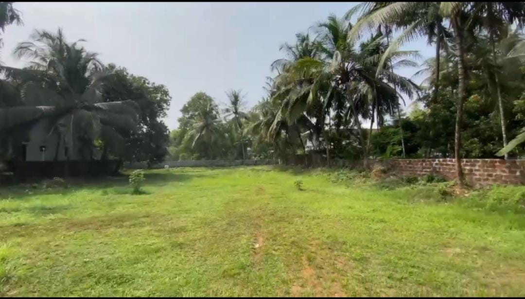 Plot in Kozhikode town — photo 5