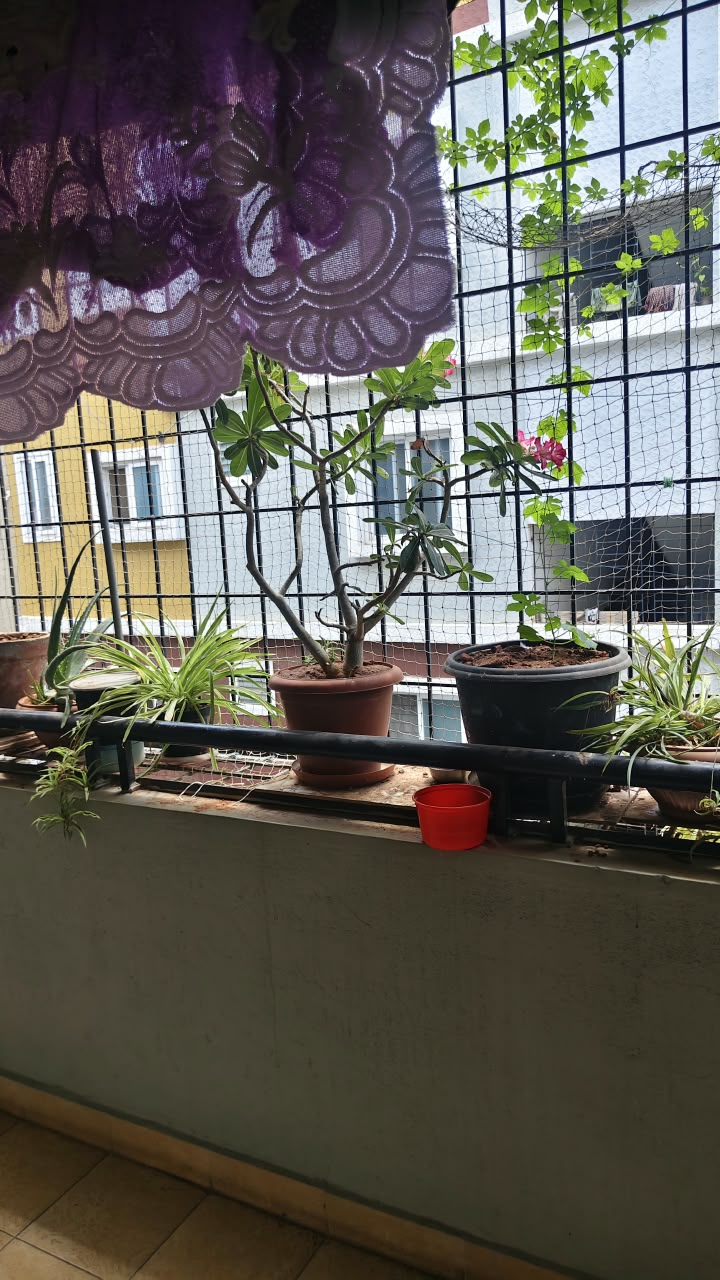 Apartment in Bengaluru, Bengaluru Urban — photo 9