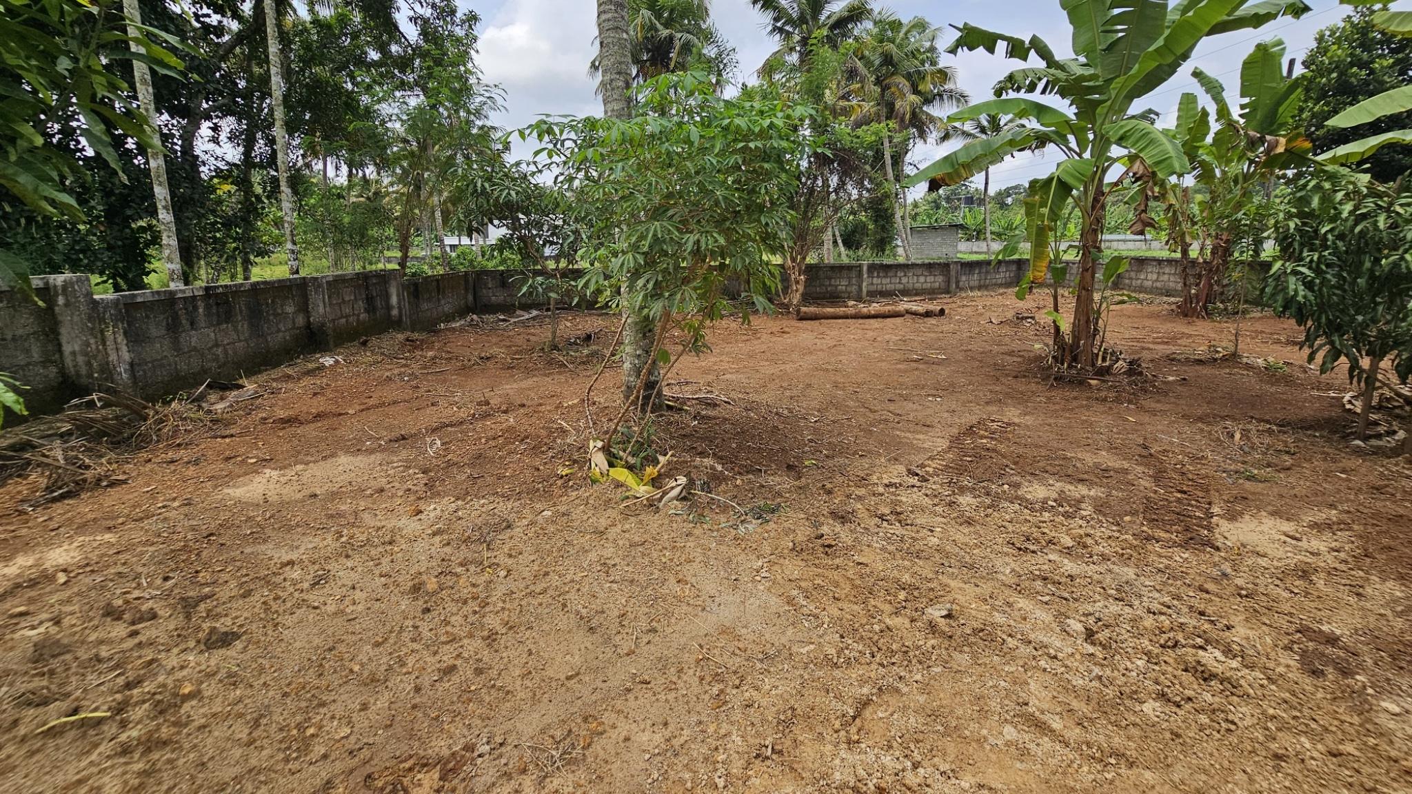 Plot in Padukad — photo 4