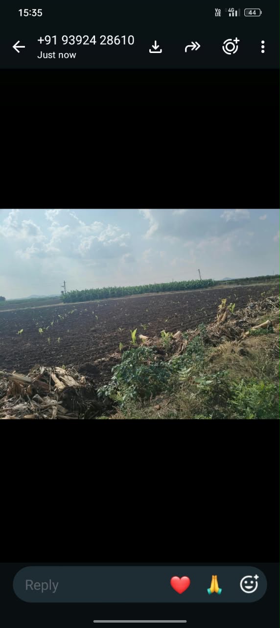 Plot in Suryapalli village, Putlur mandal, Anantapur district — photo 4