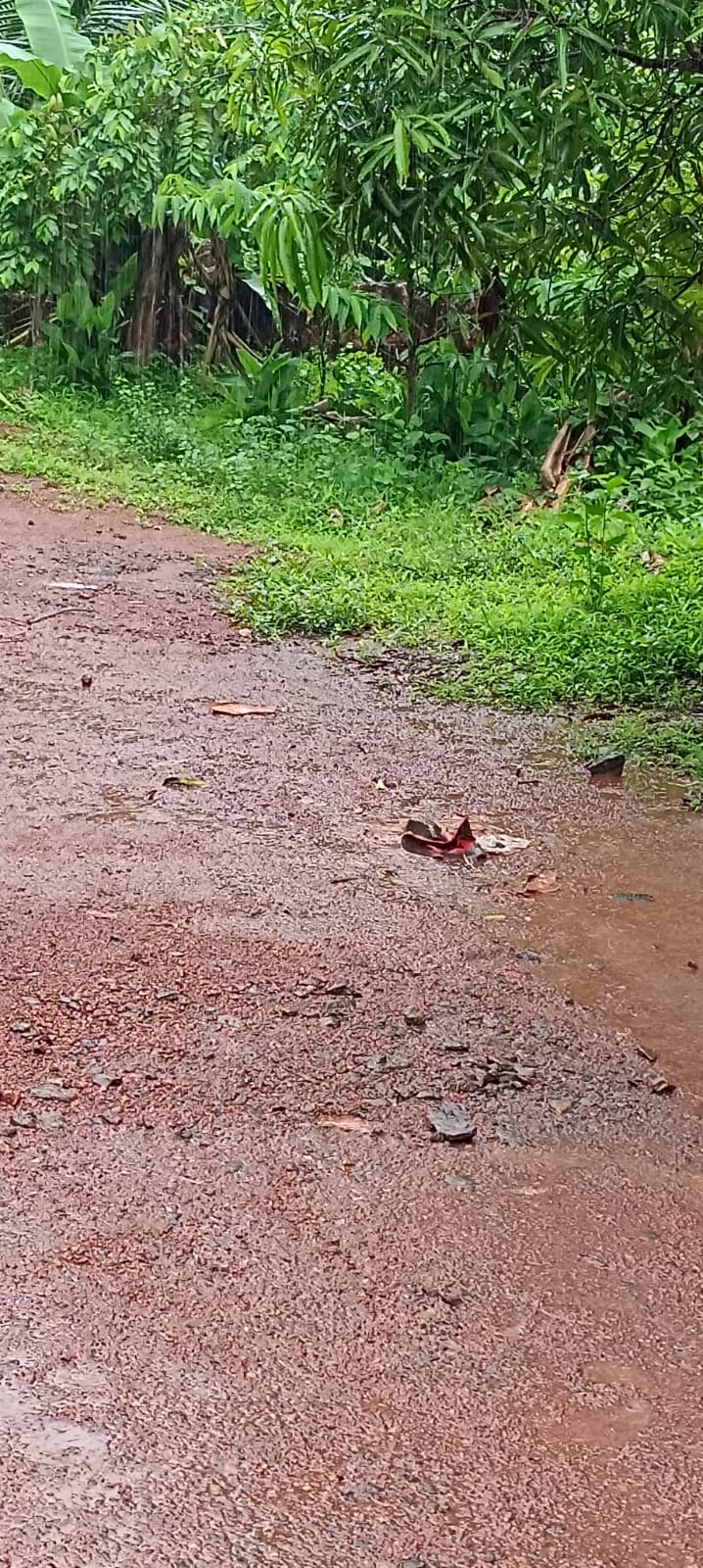 Plot in Kaitheri Kuthuparamba — photo 9