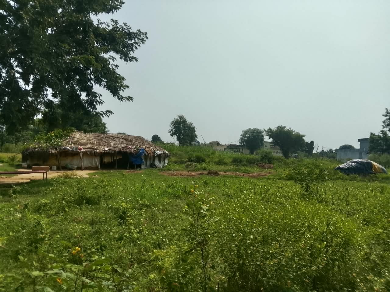 Plot in Jammu — photo 1