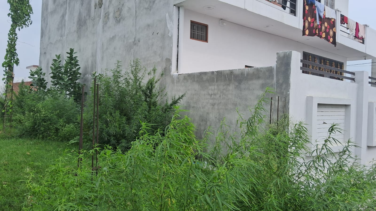 Plot in Shalimar Mannat — photo 3
