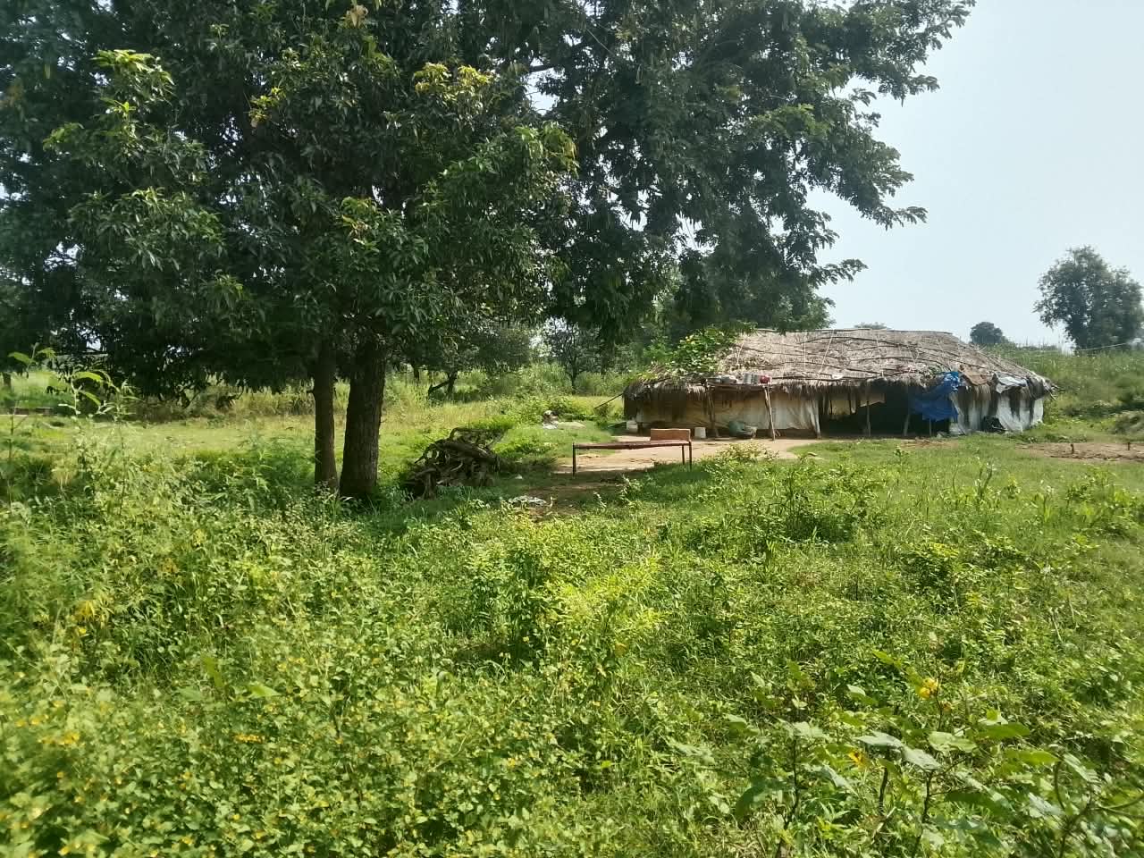 Plot in Jammu — photo 4
