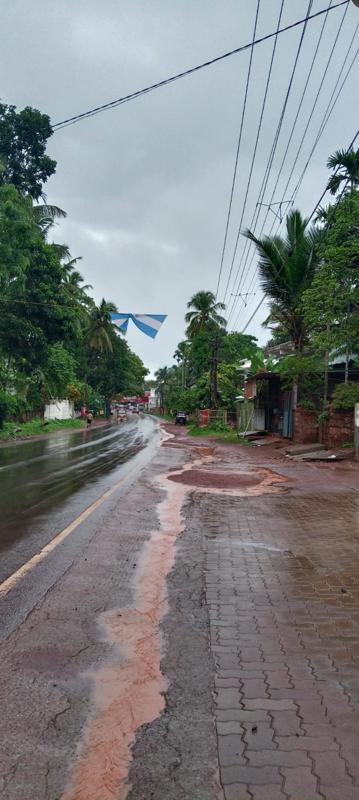 Plot in Kaitheri Kuthuparamba — photo 7