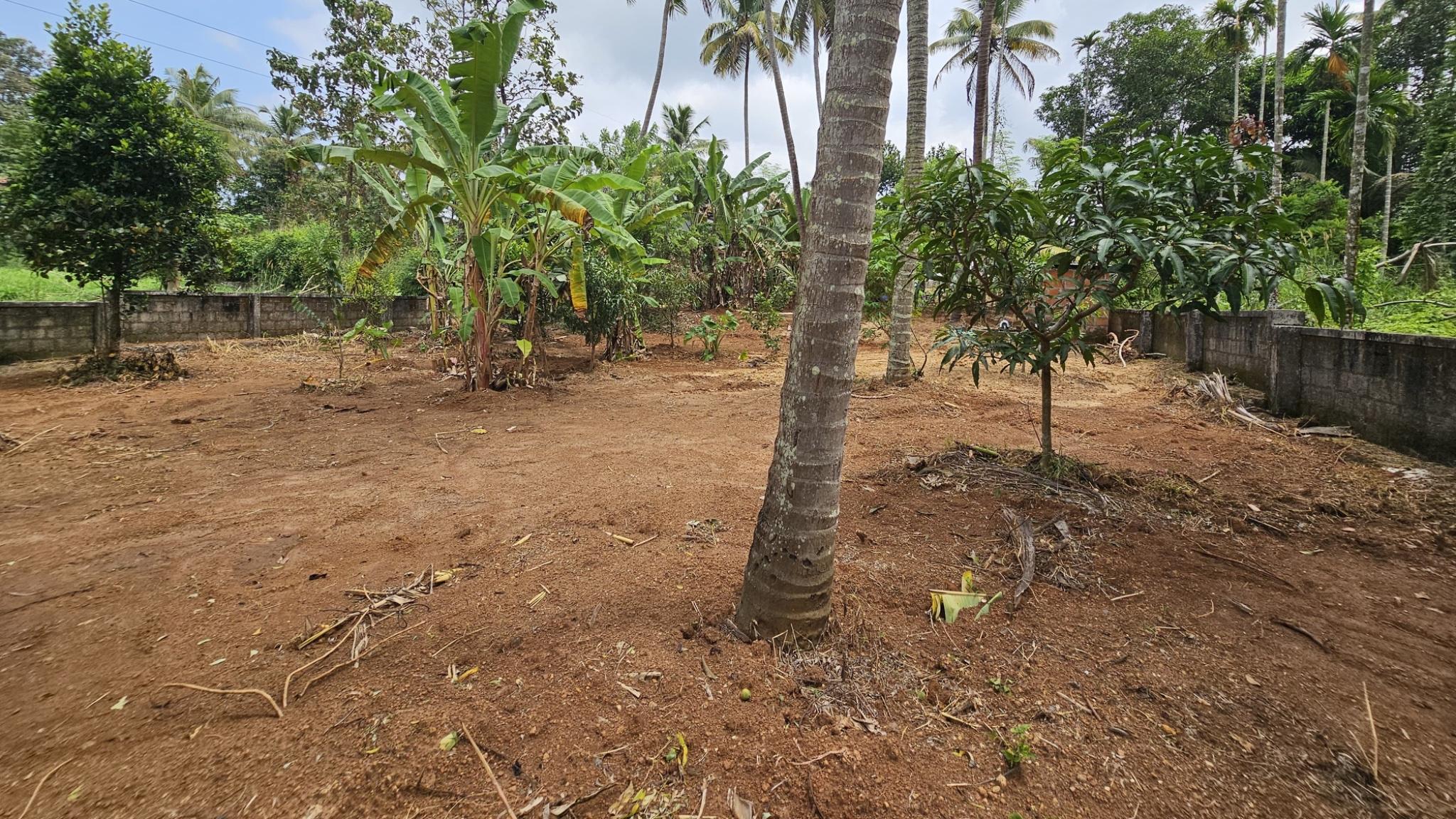Plot in Padukad — photo 3