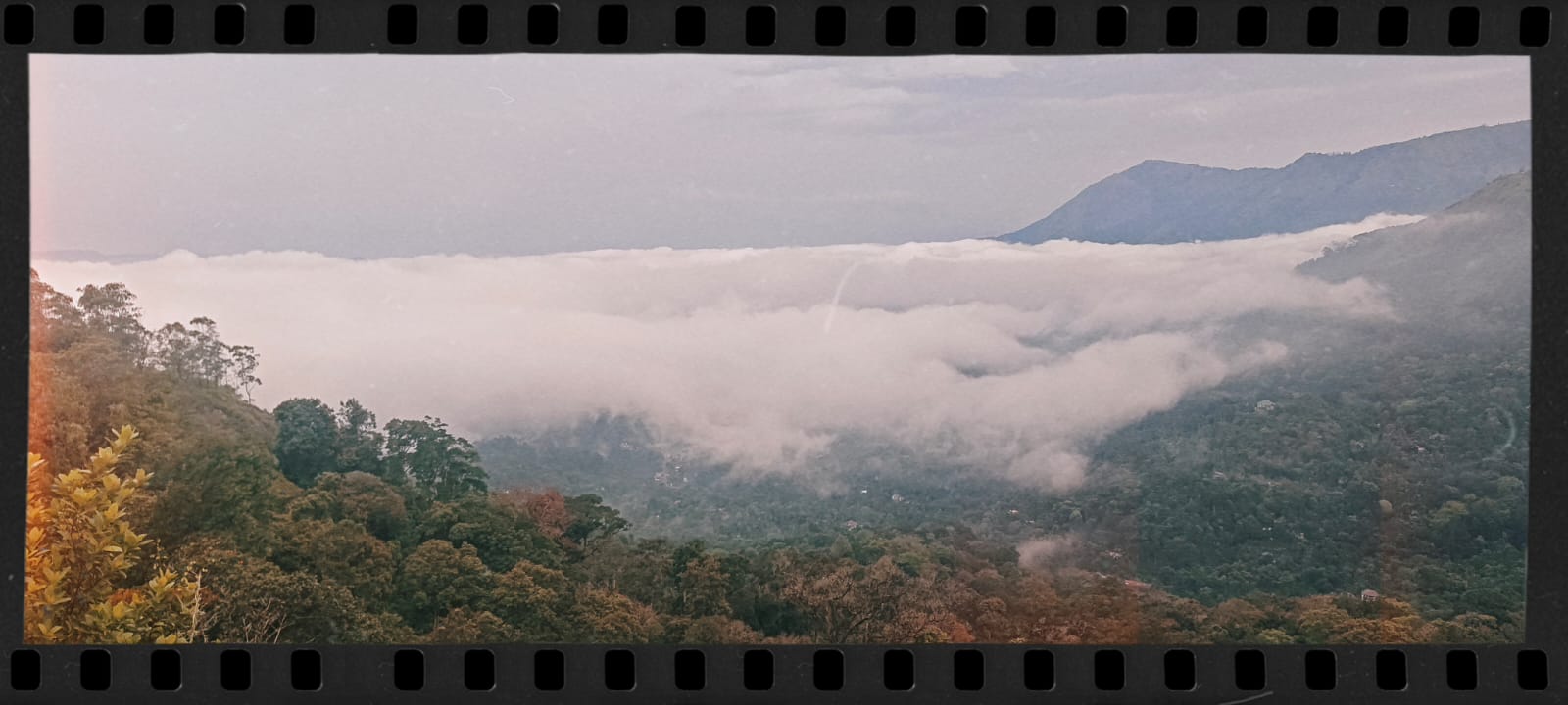 Plot at Pottankaad, Munnar — photo 1