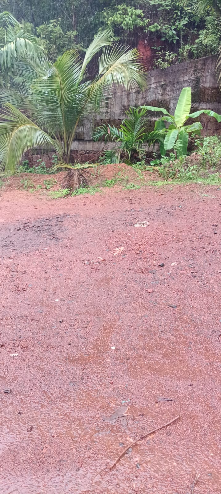 Plot in Kaitheri Kuthuparamba — photo 12