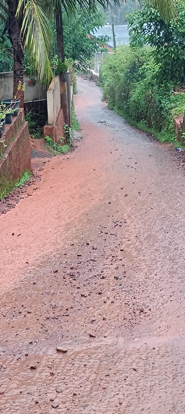 Plot in Kaitheri Kuthuparamba — photo 19