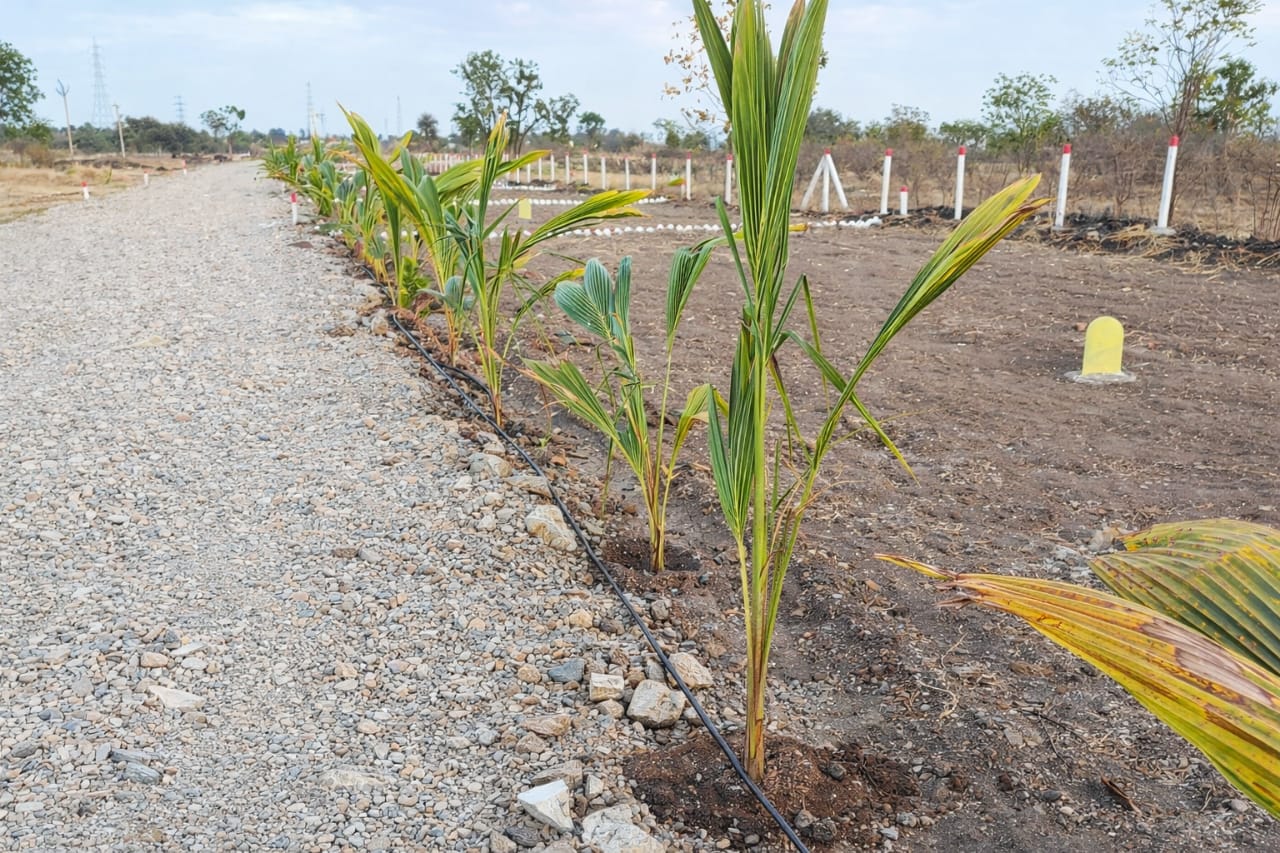 Plot In Saswad — photo 1