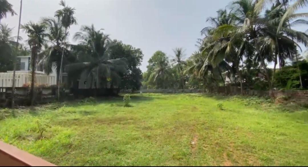 Plot in Kozhikode town — photo 3