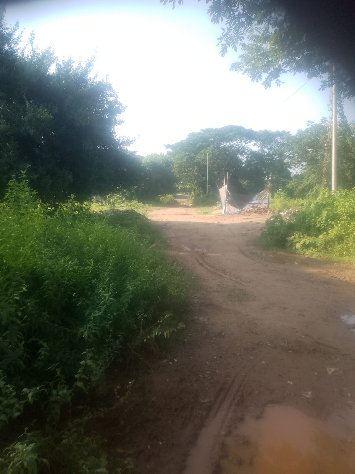 Plot in Maa Dhakulei Temple, Pratapnagari — photo 4
