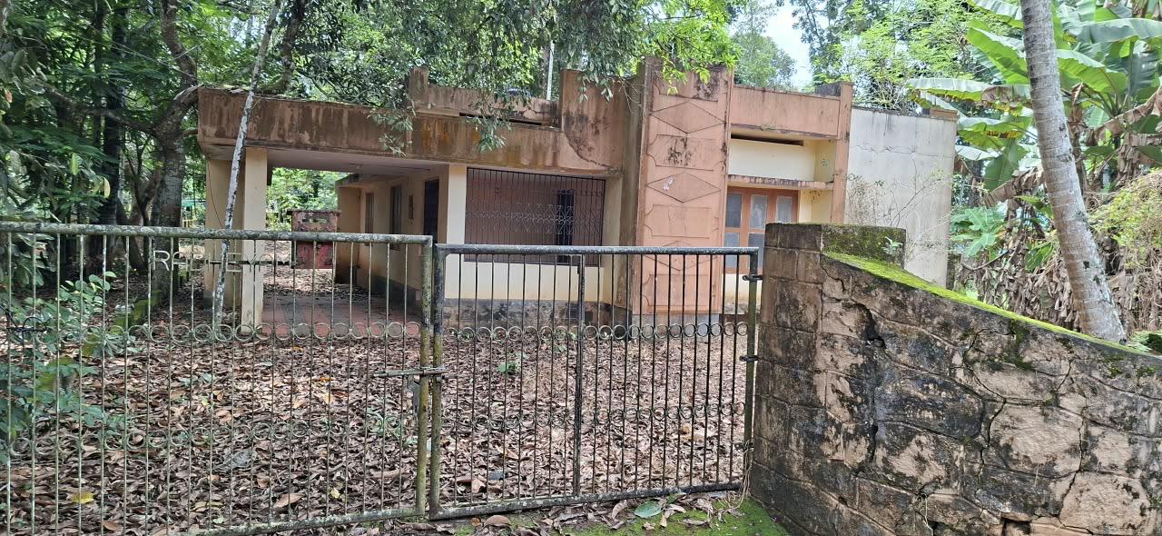 Plot in Pandalam, Pathanamthitta — photo 4