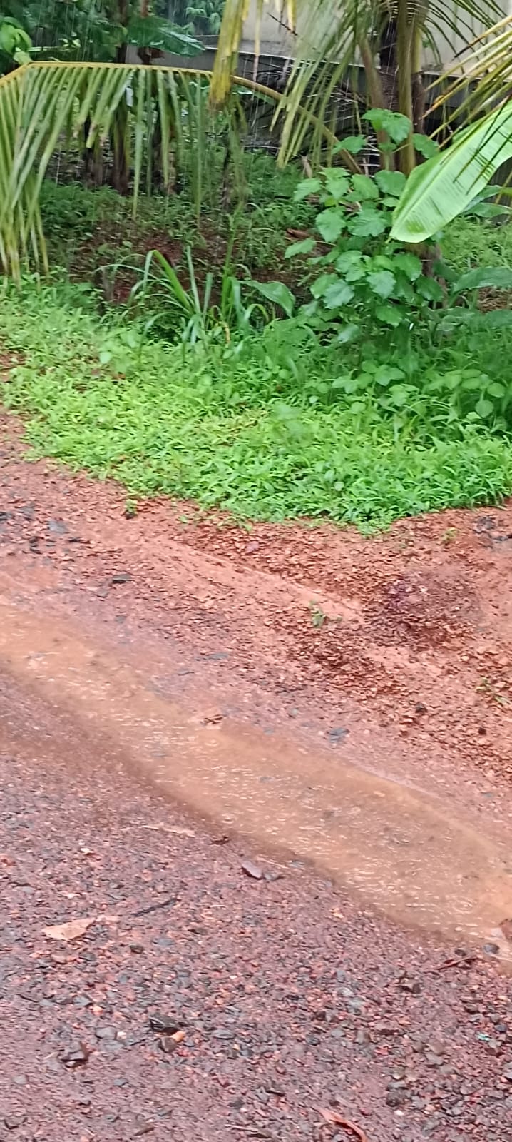 Plot in Kaitheri Kuthuparamba — photo 10