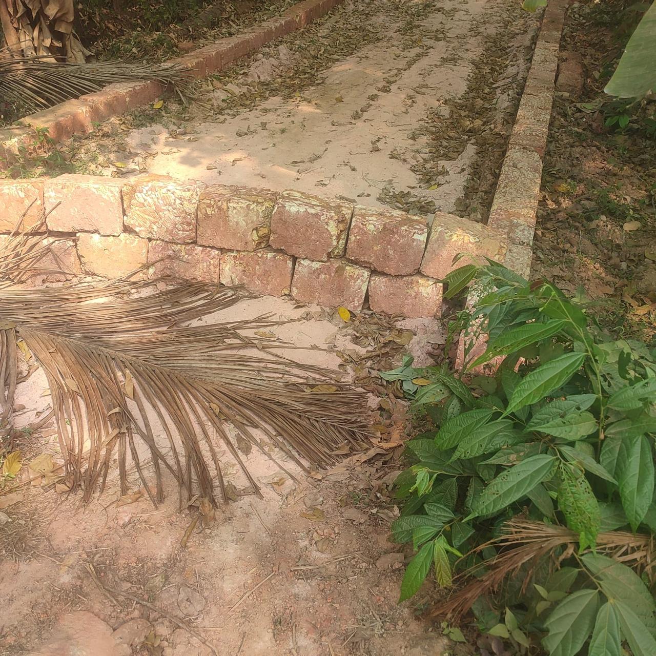 Plot at Kakkoth — photo 3