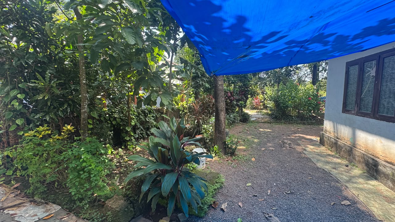 House in Mattannur — photo 5