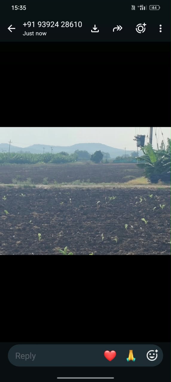 Plot in Suryapalli village, Putlur mandal, Anantapur district — photo 5