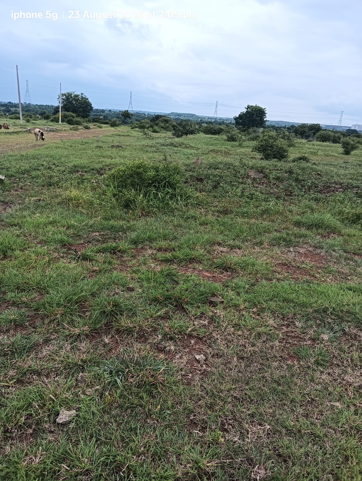 Plot in Budhera — photo 2