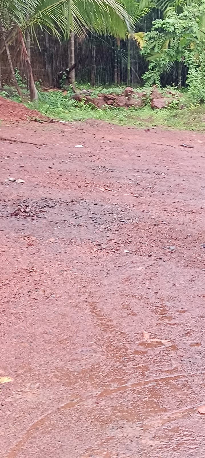 Plot in Kaitheri Kuthuparamba — photo 13