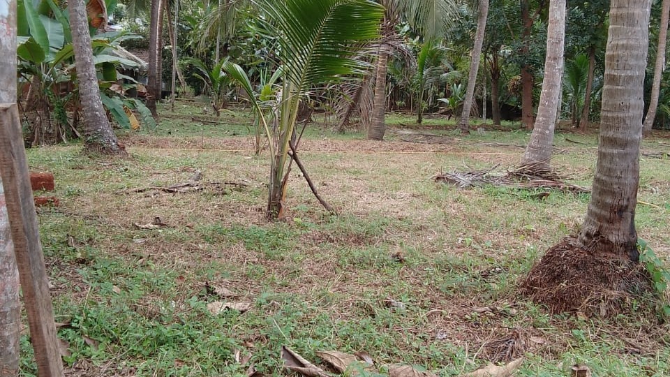 Plot in Kerala Khadi And Village Industries Board — photo 2