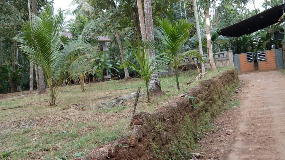 Plot in Kerala Khadi And Village Industries Board — photo 3