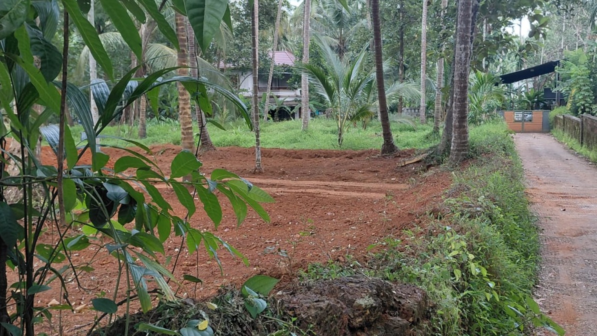 Plot in Kerala Khadi And Village Industries Board — photo 5