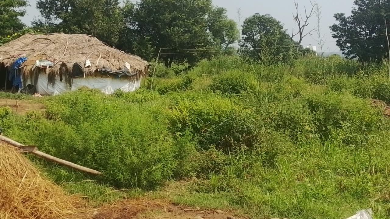 Plot in Purkhoo — photo 1